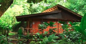 Pachira Lodge Accomodation Tortuguero Costa Rica
