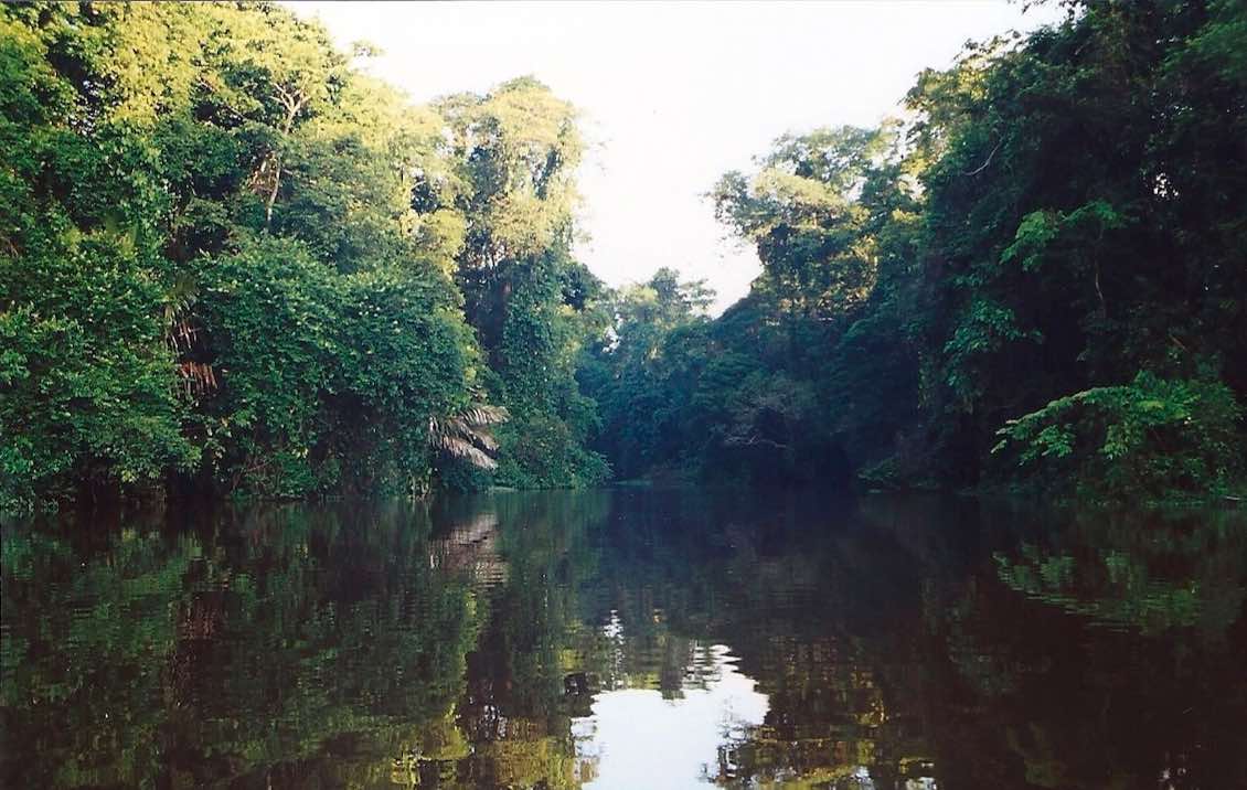 Tortuguero River Trip Costa Rica