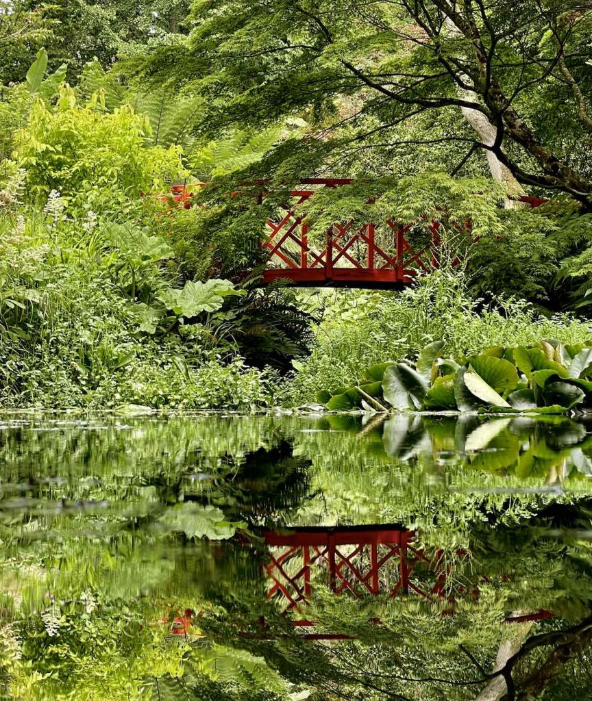 Abbotsbury-Sub-Tropical-Gardens-Bridge-Reflections