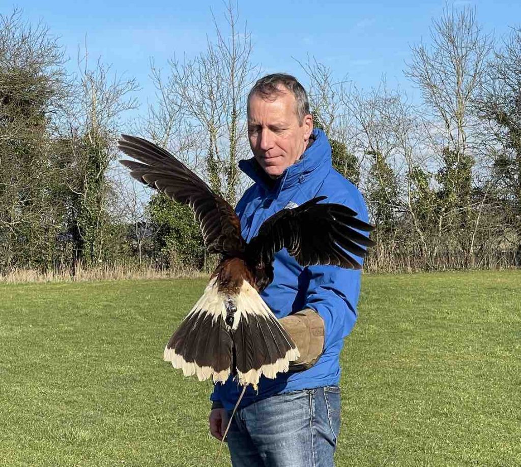 Fens Falconry Birds of Prey