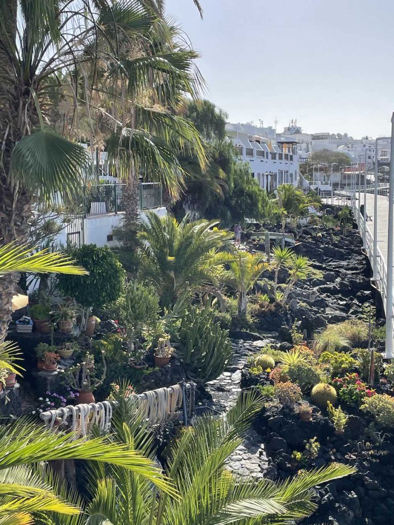 Cactus Gardens Puerto Del Carmen Lanzarote