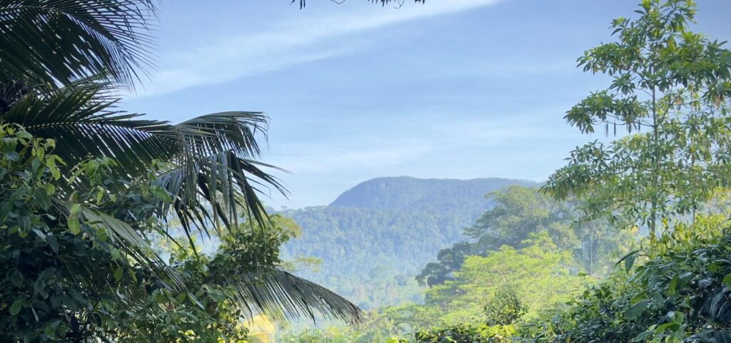 THE RAINFOREST HIDEAWAY SRI LANKA Jungle View