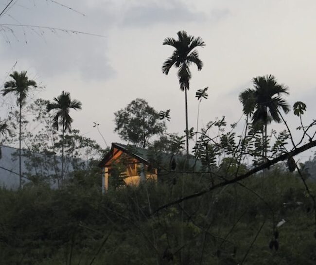 Rainforest Hideaway Sri Lanka